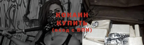 стаф Баксан