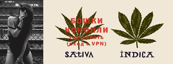 стаф Баксан